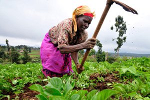 women-farming-5367322642-p.jpg
